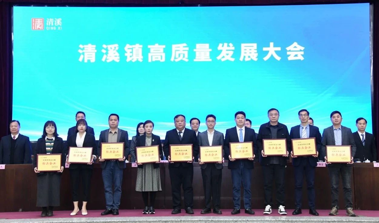 喜讯：9001cc金沙以诚为本科技荣获2024年度“清溪镇主营业务收入及效益贡献标兵企业”